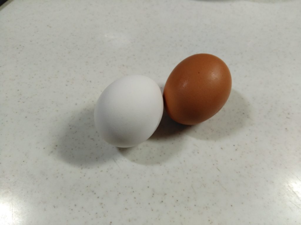 キッチンに置かれた普通の卵と養生卵